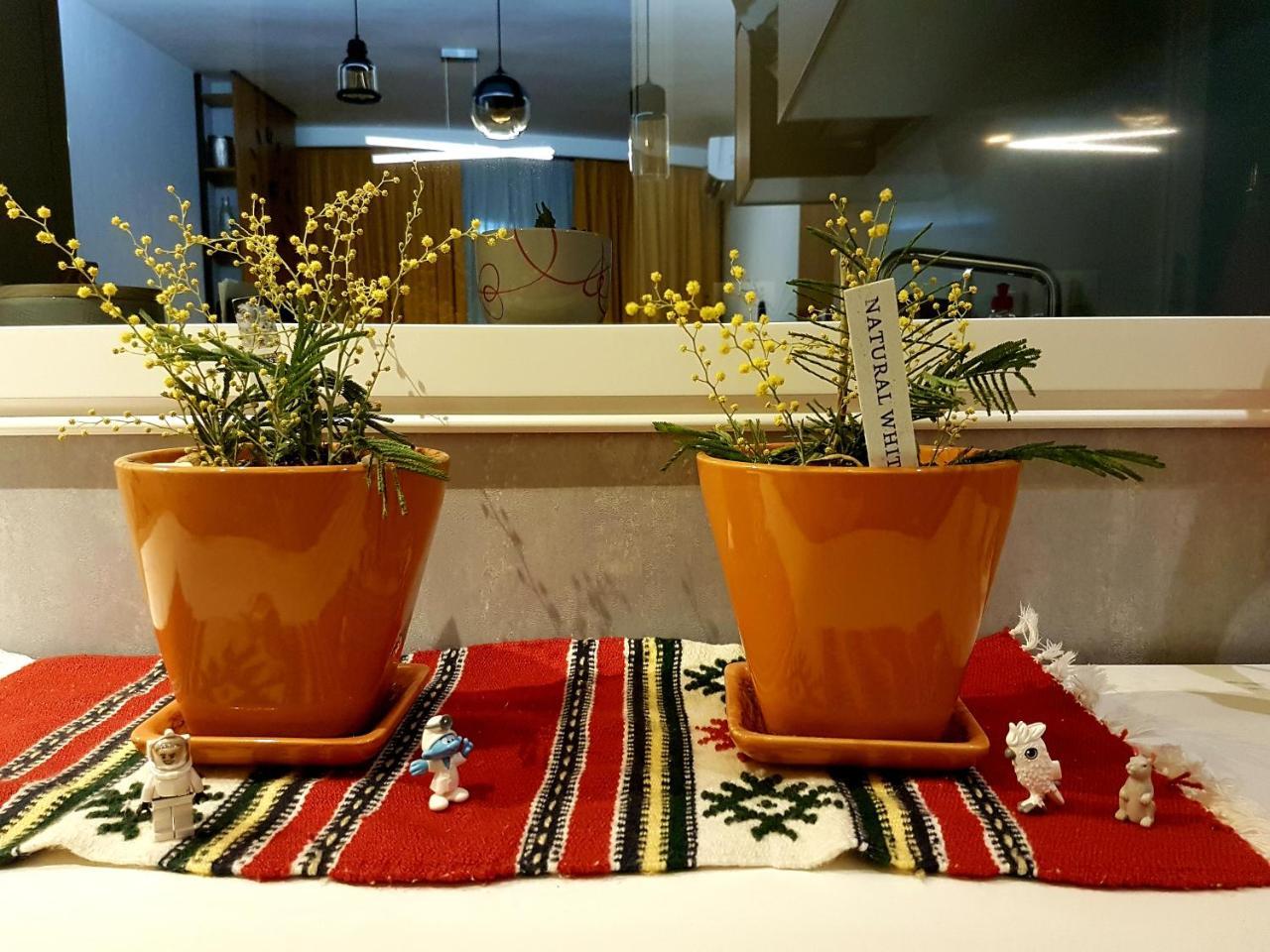 Central Luxury Apartment Tirana Buitenkant foto